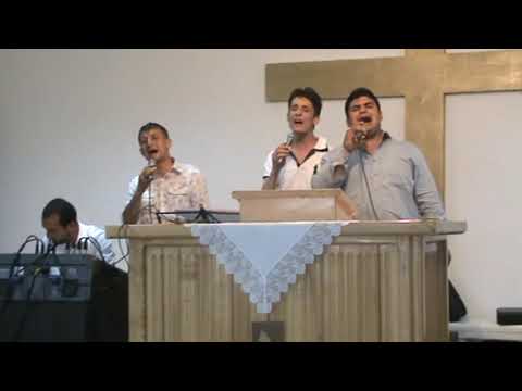 MARIUS DE LA BARBULESTI -N-AI ASEMANARE