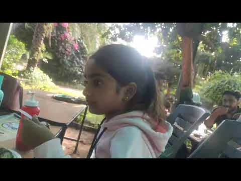 Sizzler Browny ice cream 🍨#travel #vlog #bestplace #couple #family #viral #facebook 