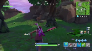 【Fortnite】 ふぉーとないと【フォートナイト】
