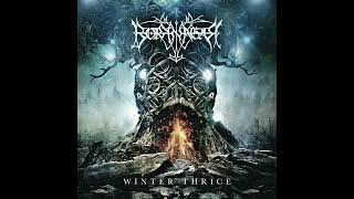 Borknagar - 3 Cold Runs the River | Winter Thrice 2016 #progressivemetal #blackmetal