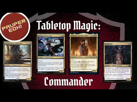 Cormela, Glamour Thief / Shadowstorm Vizier / Shadowmage Infiltrator / Fleshtaker