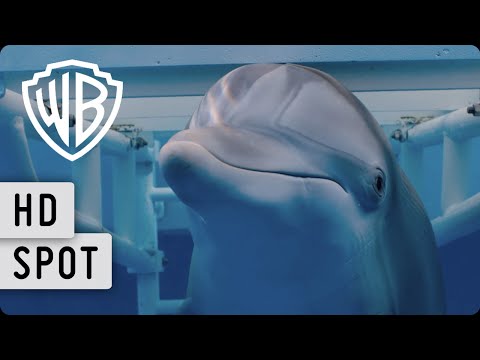 MEIN FREUND, DER DELFIN 2 - Spot 2 Deutsch HD German
