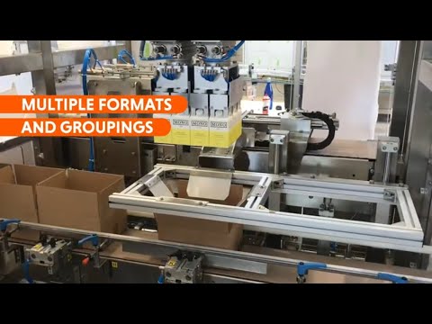 Box Pick-and-Place Automatic Packaging Machine