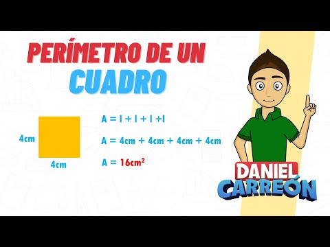 PERIMETER OF A BOX Super easy - For beginners