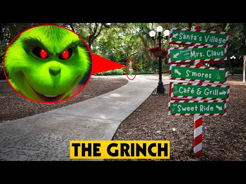 IF YOU SEE THE GRINCH IN REAL LIFE, RUN!