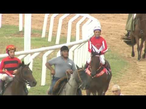 SINT MELO 220305 c07- 1° BREXIT (BRZ)