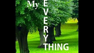 Owl City- MY EVERYTHING (Lyric Video)