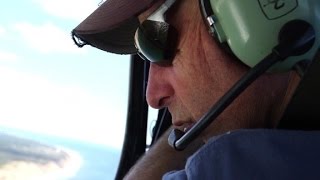 Spotting great white sharks from the sky