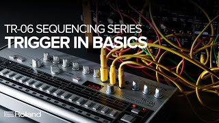 Video thumbnail for Roland Boutique TR-06 Drumatix Sequencing Series - Trigger In Basics by RolandChannel