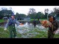 The Puddles Were Full Of Priceless FISH After Storm Babet Fish Rescue