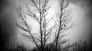 Madrigal - Misanthropic Spirit of the Black Wood