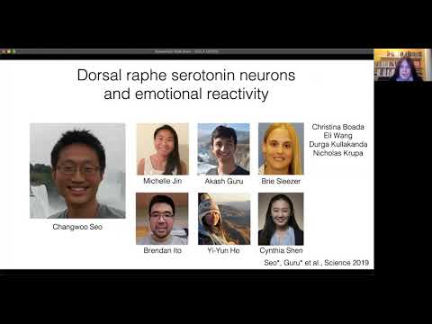 The BRI Joint Seminar In Neuroscience - Melissa Warden, Ph.D.