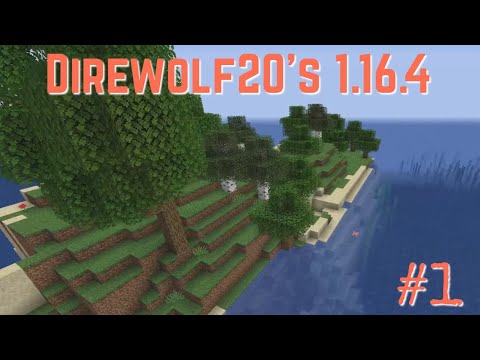 Direwolf20 1.16 Ep 1 Small Island Large Starter House