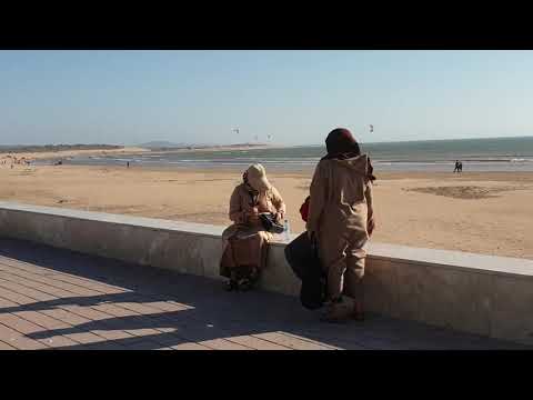 View of Mogador Island and Kites on the Beach of Essaouira