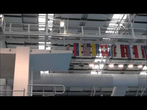 Best Dives of A-Boys Platform - Diving Junior World Championships 2012