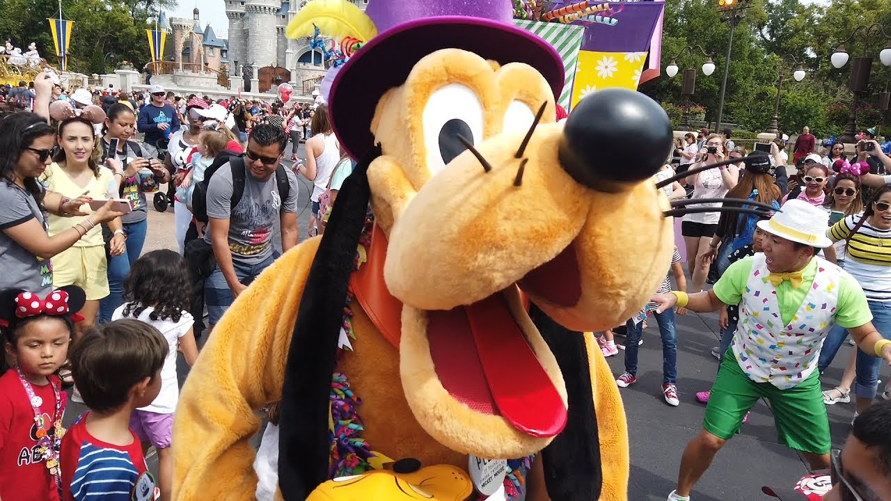 MyDisneyFix What Camera Is The Best To Use At Disney? Testing 4