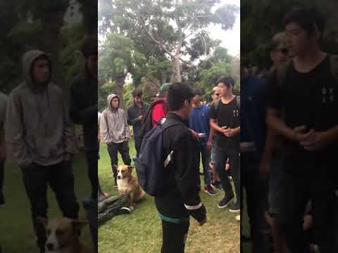 Nexus vs Fobos | 8vos | Batallas De Freestyle Plaza de Armas La Serena. (Replica)