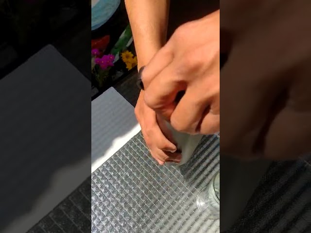 Vídeo relacionado con BOTELLA TERMO ACERO INOXIDABLE 515 ML POKEMON DISTORTION