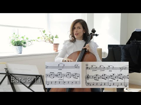 Shostakovich Cello Sonata in D minor, Op. 40: First Movement - Musings with Inbal Segev