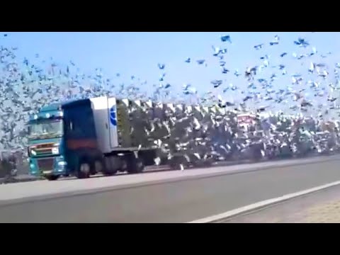 20 Extreme Dangerous Idiots in Trucks Compilation - Excavator Fail Operator Skills - Truck Woking P5