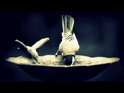 RENAUD GARCIAS - FONS - "La Demoiselle De Céret"