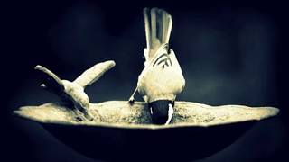 RENAUD GARCIAS - FONS -  - La Demoiselle De Céret