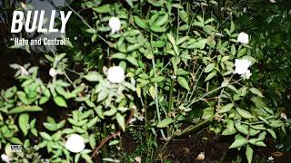 Bully - Hate and Control