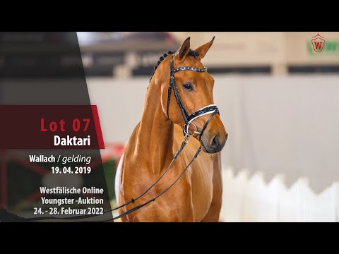 Online Youngster-Auktion Lot 7 Daktari Wallach v. Diathago - Cornado I