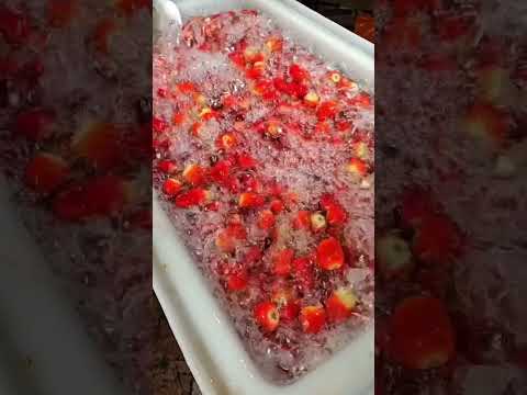How freeze-dried strawberries made… https://www.youtube.com/@samanehsoltanii?sub_confirmation=1