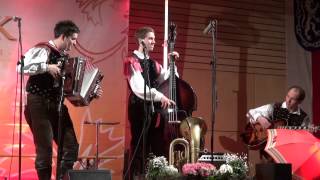 Music video thumbnail preview for Saso Avsenik \u0026 seine Oberkrainer  -  Die gute alte Zeit für Emmi Klinger by Sašo Avsenik und seine Oberkrainer