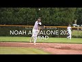 Noah Anzalone 2021 / INF