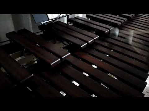Inni di lode N°66: Senza penna e senza inchiostro Marimba Cover