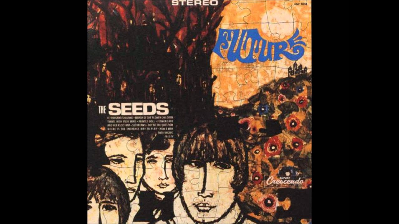 The Seeds - A Thousand Shadows