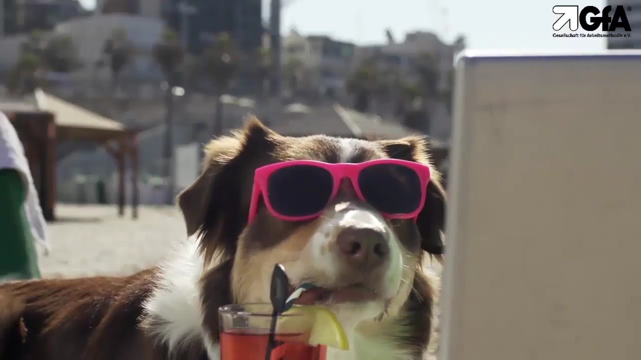 GFA Veranstaltung in Mannheim