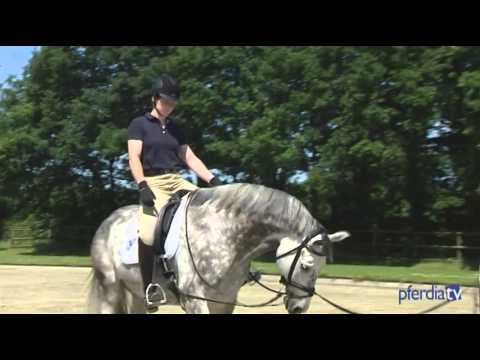 Sitzübungen aus der Bewegungslehre - so bezieht man sie in den Unterrricht ein | Eckart Meyners