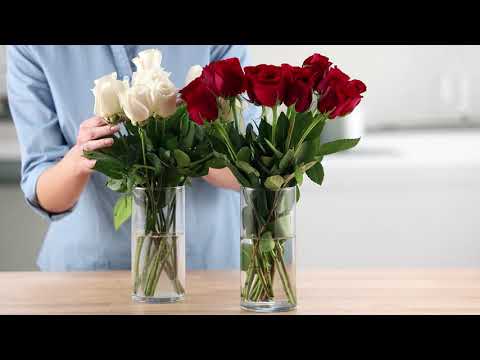 Kitchen Hack: Keep Flowers Fresh for Longer | Food City®