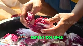 Download lagu CAPCAY KOL UNGU | JEJAK SI GUNDUL (18/10/21) mp3