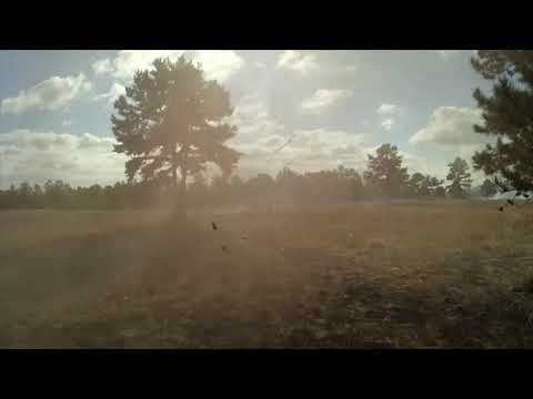 Hydra Rocket Flechette Effects in the Impact Area