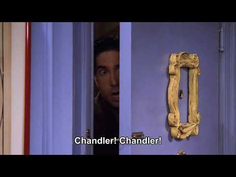 Friends - Ross Chandler ve Monica'nın sevgili olduğunu öğreniyor