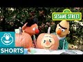 Sesame Street Bert And Ernie S Pumpkin Painting Challenge Backyard With Bert 1
