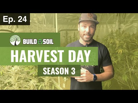 BuildASoil: HARVEST DAY (Season 3, Episode 24)