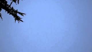 Goodbye Sheila Enid Kaplan Davis