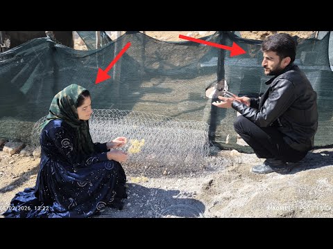 Farshad Waiting, Jamileh Choosing: A Fateful Day for These Two