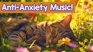 Relaxing Music for Cats 🐱 Deep Sleep & Anxiety Relief