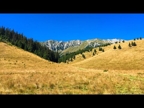 Măgura, Piatra Craiului 2020