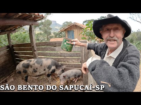 THE TRUE STORY OF THE HAUNTING OF MANOEL TROPEIRO