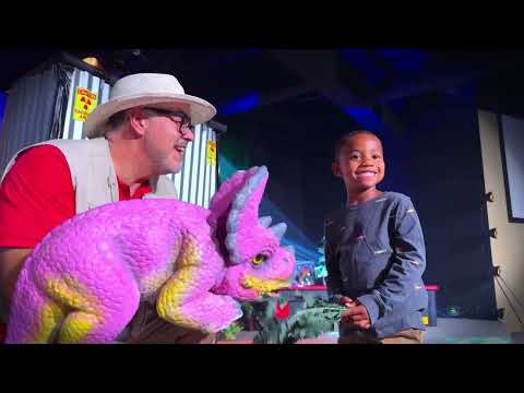 Play Video Youtube Video