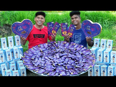 DAIRY MILK SHAKE | Cadbury Dairy Milkshake Recipe | Chocolate Milkshake | Village Food