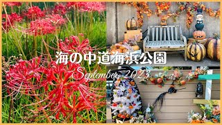 福岡＊彼岸花とハロウィン 海の中道海浜公園 ［vlog］FUKUOKA, JAPAN