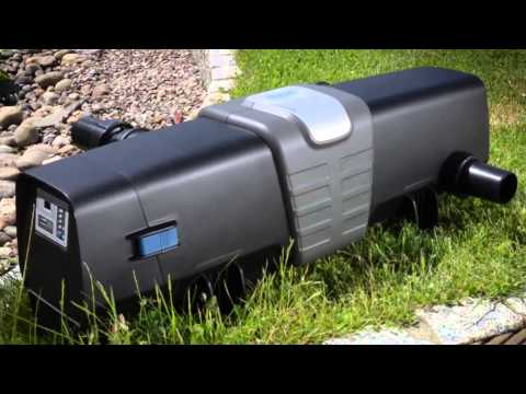 Watch Video on YouTube